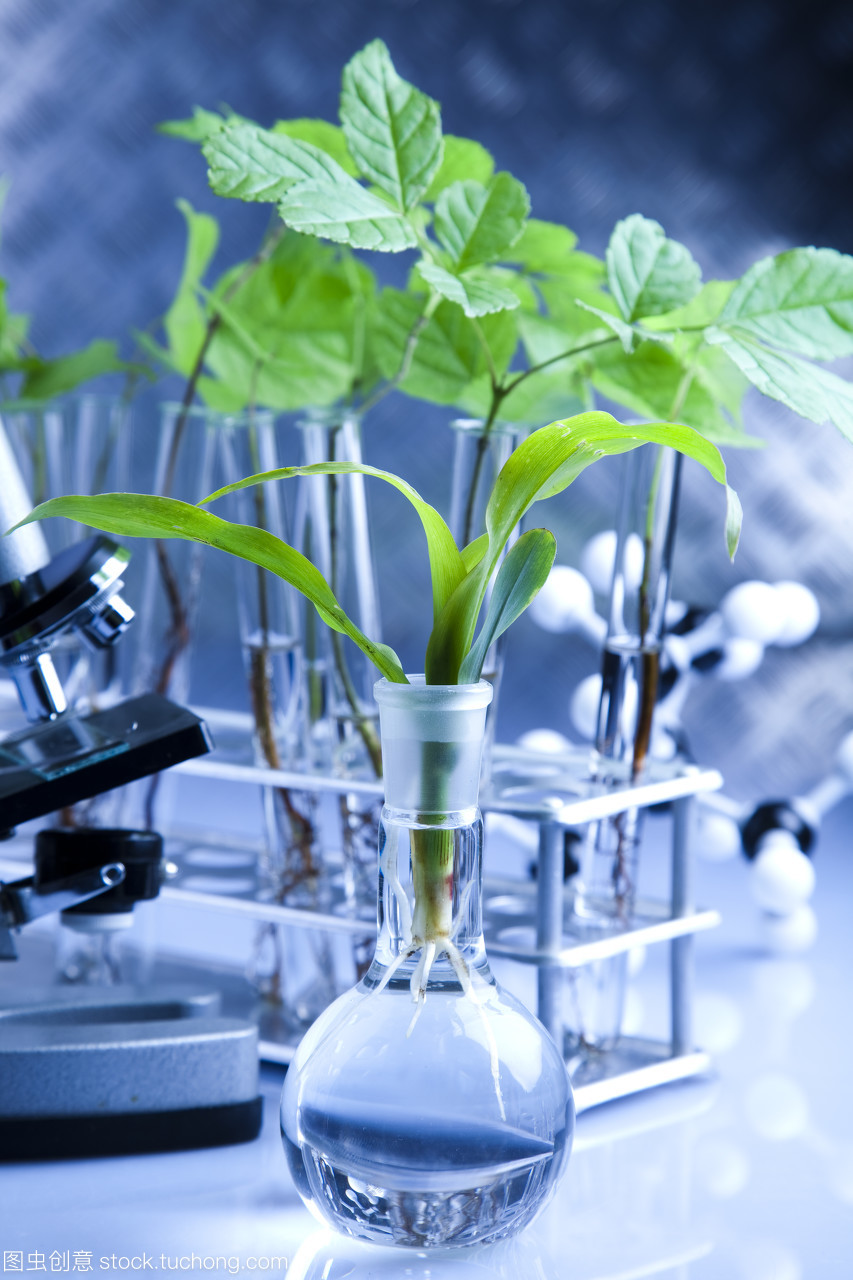 實驗室中的自然詩篇 當(dāng)生物科技遇見植物生長